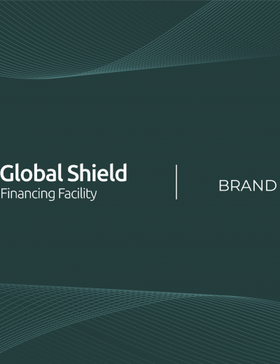 Global Shield Financing Facility-Branding Guidelines