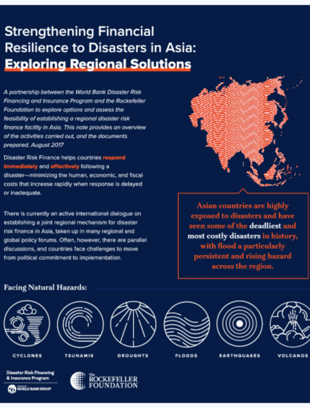 Strengthening Financial Resilience to Disasters in Asia: Exploring Regional Solutions (Brief)