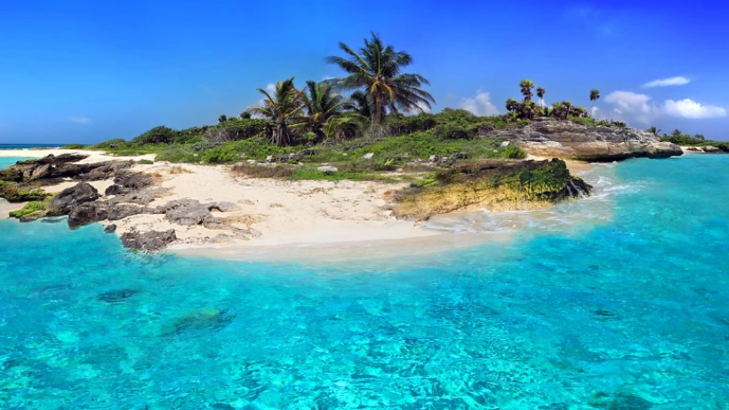 Photo Credit: Mustang_79 from Getty Images Photo of corals