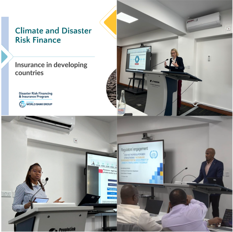 Collage of Event Presentations